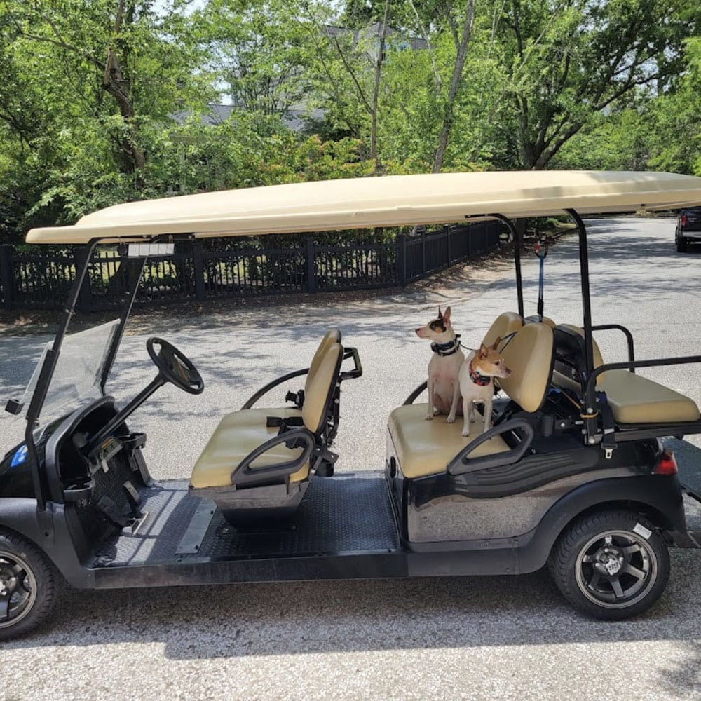 48V Club Car DS Golf Cart - Rad Rydz