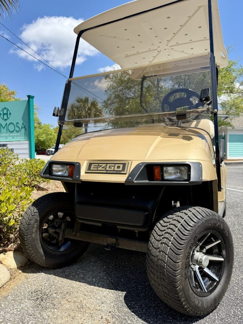 2008 EZGO PDS Golf Cart with Brand New Batteries - Image 3