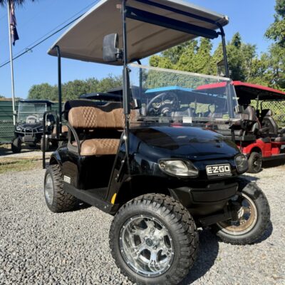 2020 gas ezgo